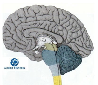 Protocolo Institucional de Atendimento ao Paciente com Hipertermia Maligna- Hospital Israelita Albert Einstein